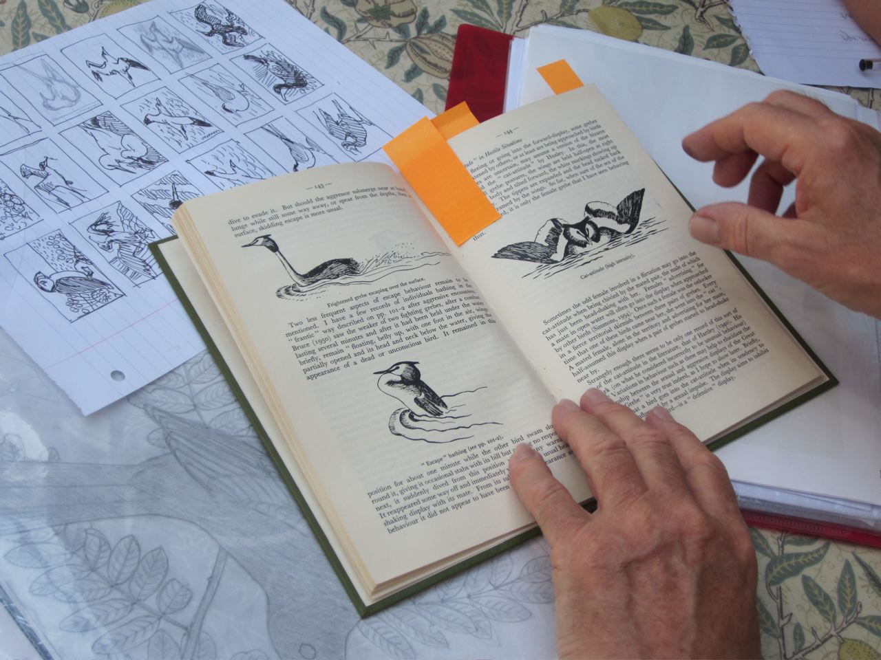 Birds, Blocks & Stamps by Robert Gillmor