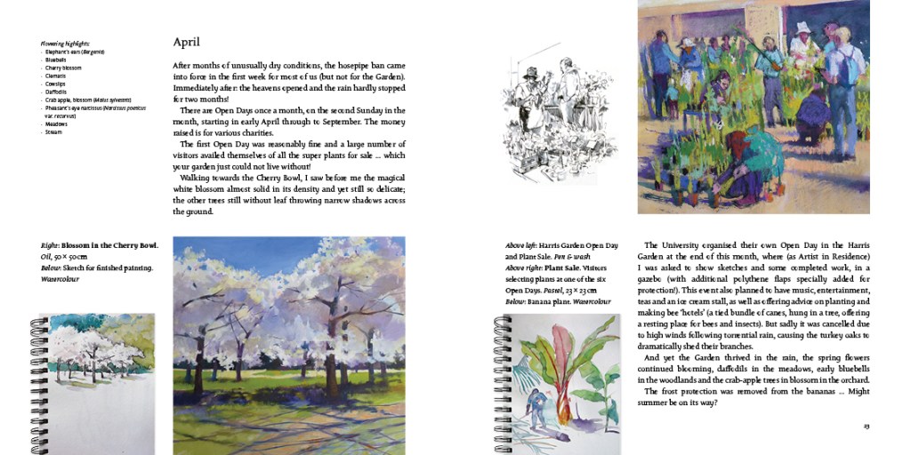 An Artist's Year in the Harris Garden by Jenny Halstead