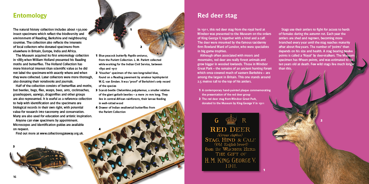 The World in Reading museum guide