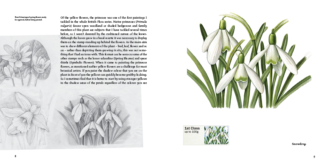 Plant Portraits by Post by Julia Trickey