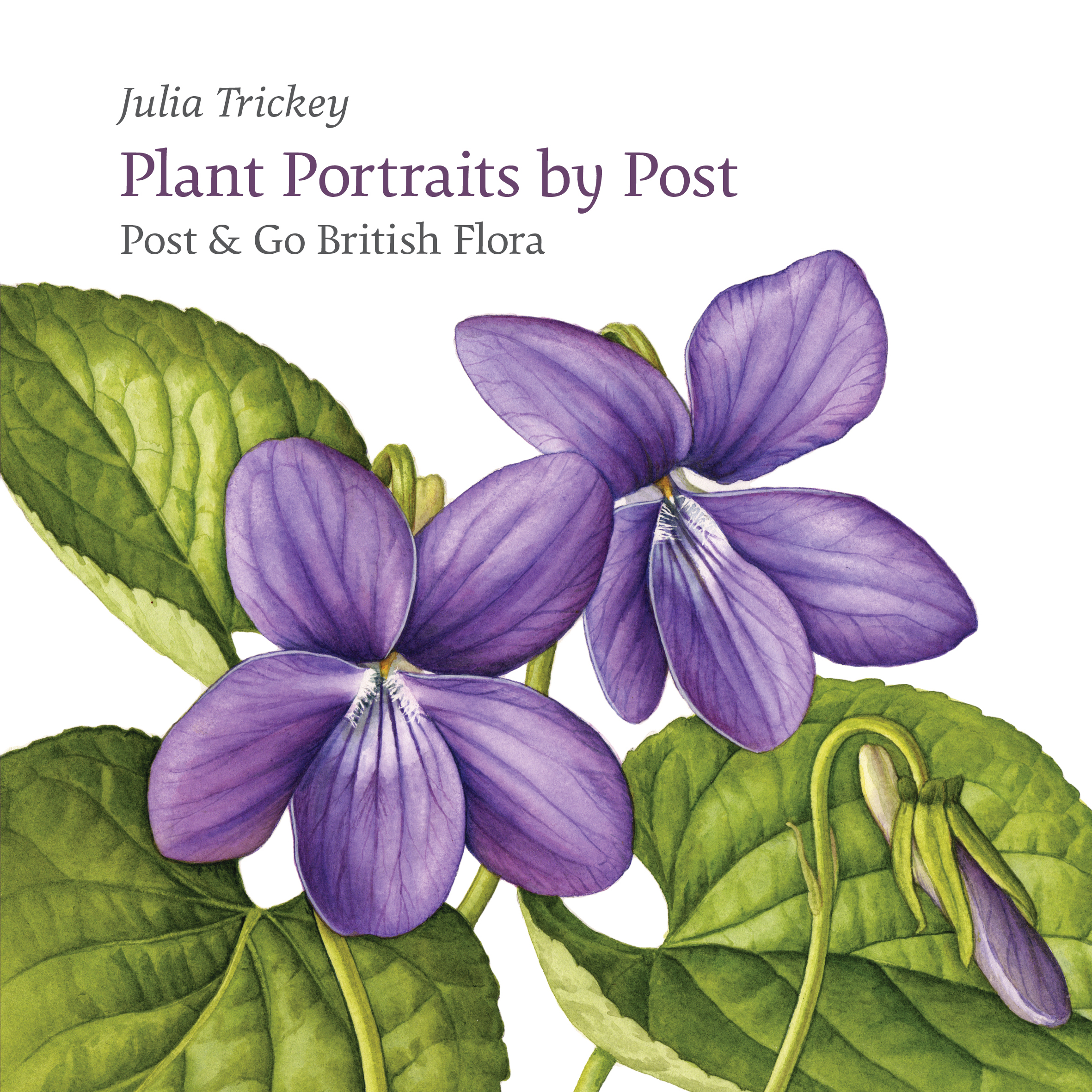 Plant Portraits by Post by Julia Trickey