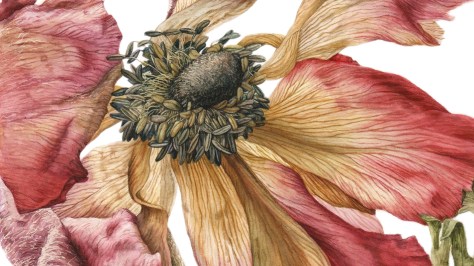 Julia Trickey: Botanical Artistry