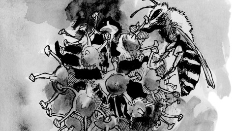 Adrian Lawson & Geoff Sawers: Rural Reading