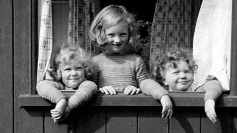 Meriel Darby: Springhill